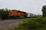 BNSF 8113